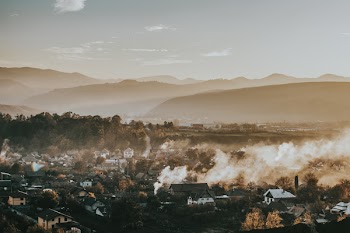 Houses and Trees