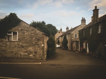 Houses and Trees