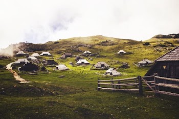 houses in green grass field