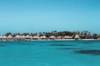 Houses Near Body Of Water