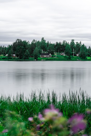 Houses Near Body of Water