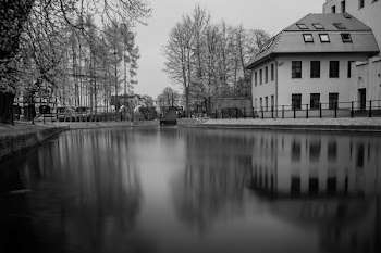 Houses Near Body of Water