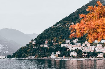 Houses Near Body of Water