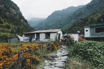 Houses Near Hill
