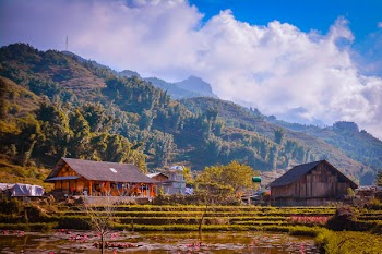 Houses Near Mountains Surrounded by Trees