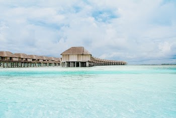 Houses Near Ocean