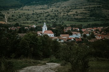 Houses Near on Forest