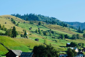 Houses on Green Field