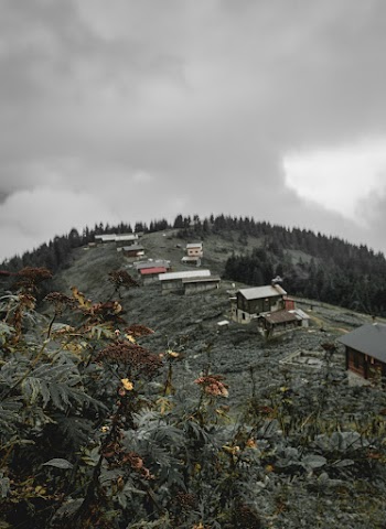 Houses on Hill