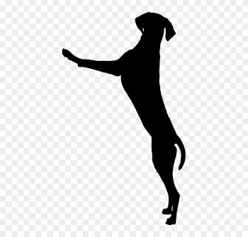 How Can I Stop My Dog Jumping Up On People - Dog Standing Silhouette