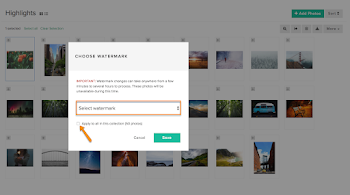 How do I edit or remove a Watermark? – Pixieset - Help Center