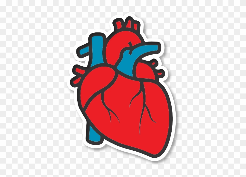 How Do You Communicate That In Only Seven Years From - Cartoon Human Heart Drawing