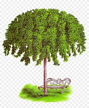 How Lovely It Would Be To Sit There In The Afternoon, - Elm Tree Clipart