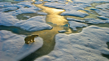 How to Address the Climate Change Debate in Your Classroom ...