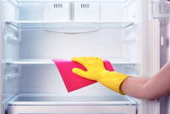 How to Clean Out Your Fridge and Freezer | Trust & Dust