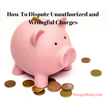 How To Dispute Unauthorized and Wrongful Charges — Hungry Being