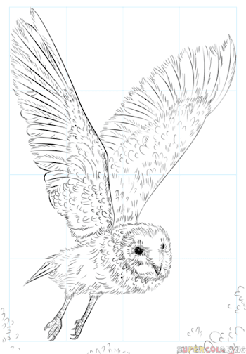 How to draw a barn owl | Step by step Drawing tutorials