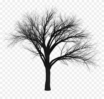 How To Draw A Dead Tree 7, - Tree