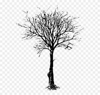 How To Draw A Dead Tree - Leafless Tree Png Transparent