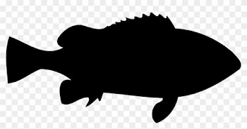 How To Draw A Fish - Tree Icon Png