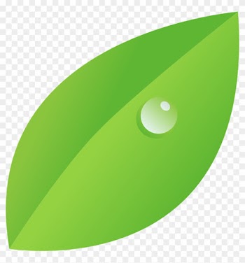 How To Draw A Leaf - Leaf With Dew Drops Clipart