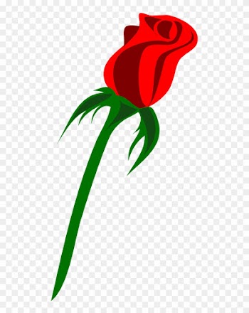 How To Draw A Rose - Rose Vector Png