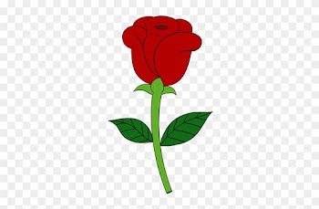How To Draw A Simple Rose Easy Drawing Guides - Simple Rose