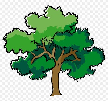 How To Draw Tree - Forest Trees Clipart