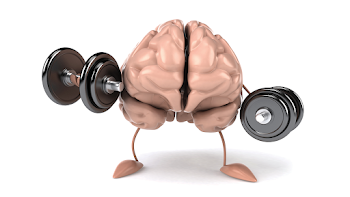 How To Enhance Your Working Memory