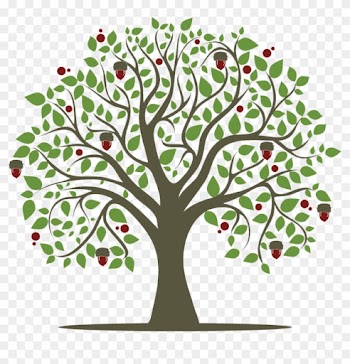 How To Help Oak - Transparent Background Tree Clipart