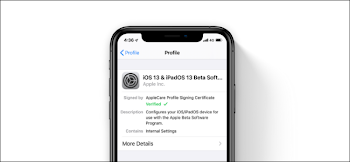 How to Leave an iOS or iPadOS Public Beta Program