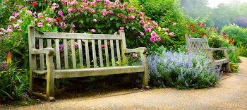 How to Make a Simple, Beautiful Garden Bench - Dave's Garden