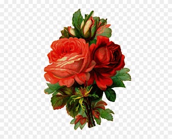 How To Make An Old-fashioned Rose Jar - Old Fashioned Roses Drawing