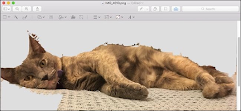 How to Remove an Image's Background Using Preview on macOS