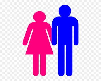How To Set Use Boy And Girl Stick Figure - Boy And Girl Gender