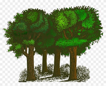 How To Set Use Colorized Group Of Trees Svg Vector - Trees Of Pride By G. K. Chesterton