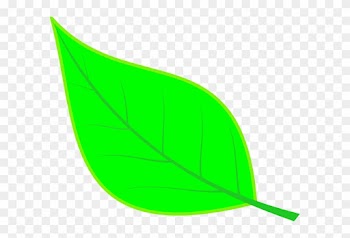 How To Set Use Cryptpoint Leaf 100 Svg Vector - How To Set Use Cryptpoint Leaf 100 Svg Vector