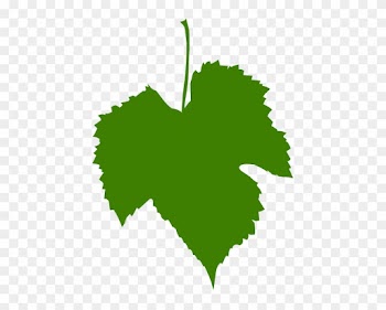How To Set Use Grape Leaf Green Svg Vector - Grape Leaf Png