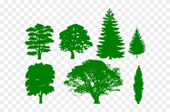 How To Set Use Green Trees Icon Png - Trees Silhouettes