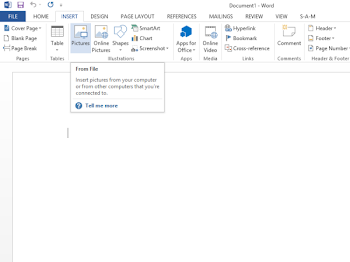 How to use Word Picture Editing Tools to edit images