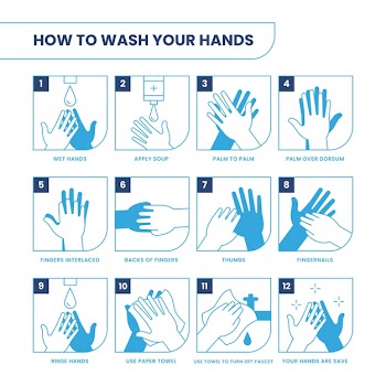 How to wash your hands Free Vector