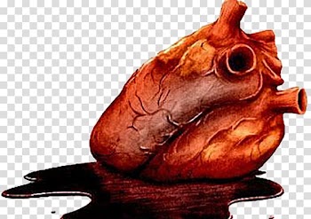 How Your Heart Works Anatomy The Tell-Tale Heart , heart transparent background PNG clipart