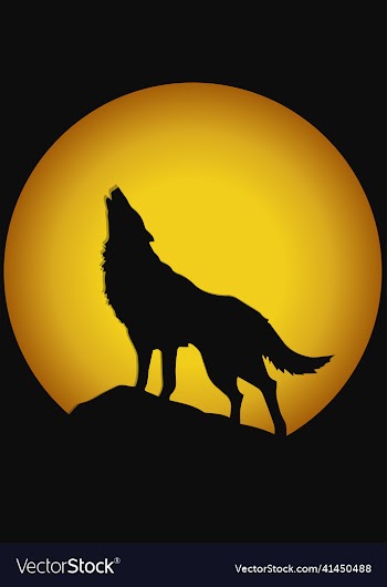 howling wolf silhouette on the rock