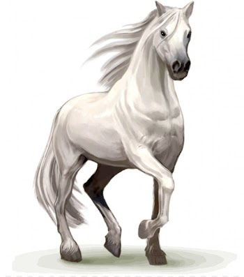 Howrse Horse Stallion Desktop Wallpaper - horse 