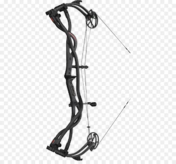 Hoyt Archery Compound Bows Carbon Bow and arrow - hoyt compound bow and arrow 