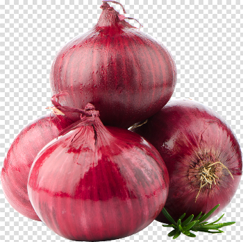HQ Onion PNG Transparent Onion.PNG Images. | PlusPNG