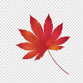 HTTP cookie Privacy policy Autumn April, love and care transparent background PNG clipart