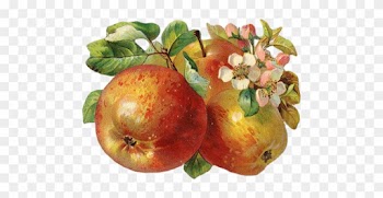 Http - //img-fotki - Yandex - Ru/get/5109/ - Back To Nature Inc