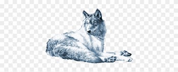 Http - //ptycoeur - P - T - Pic - Centerblog - Net/5d212bd4 - Wolf