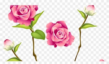 Http - //syedimranrocks - Blogspot - In/ Toolbar Creator - Pink Roses Butterfly Throw Blanket